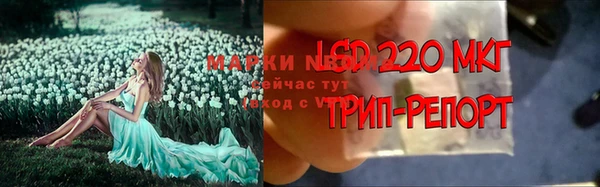 spice Алексин