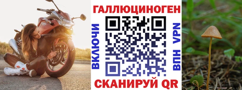 Псилоцибиновые грибы MAGIC MUSHROOMS наркота Похвистнево